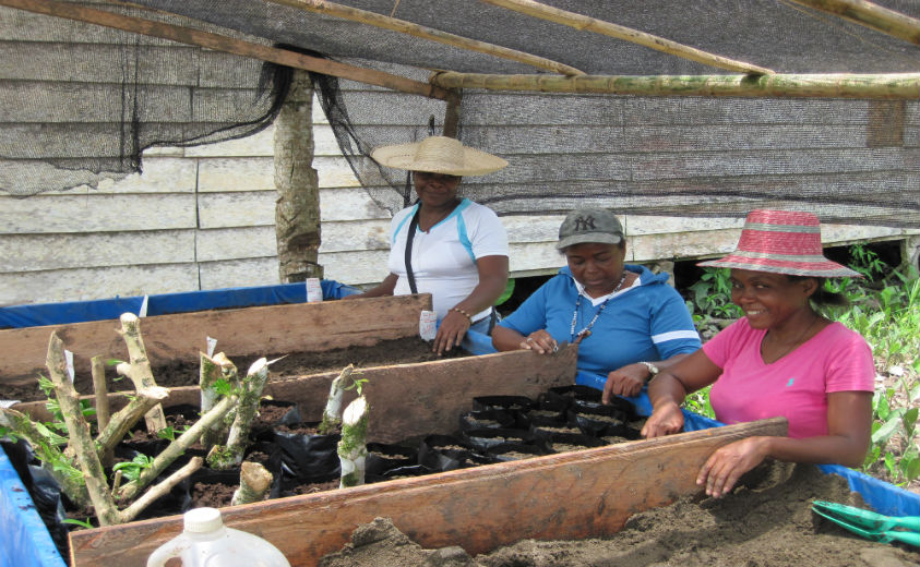 Comunidad Coop-Mujeres