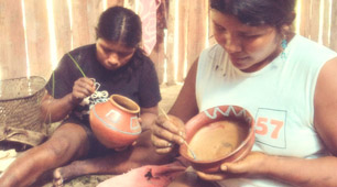 Ampliación de la cobertura Amazonas y Nariño