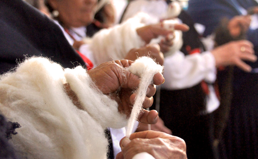 Festival de la Lana Festilana