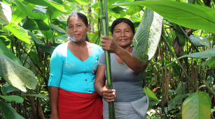 Gladys y Leonor, artesanas de la etnia Eperara Siapidara