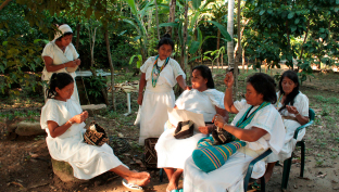 Encuentro de saberes #SomosRaíces