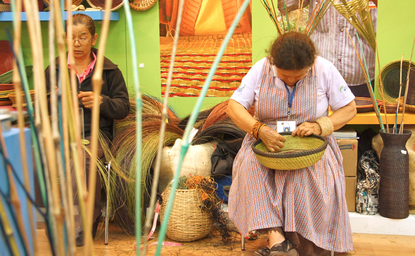 Maestra Magdalena Aponte, Tibana, Boyacá